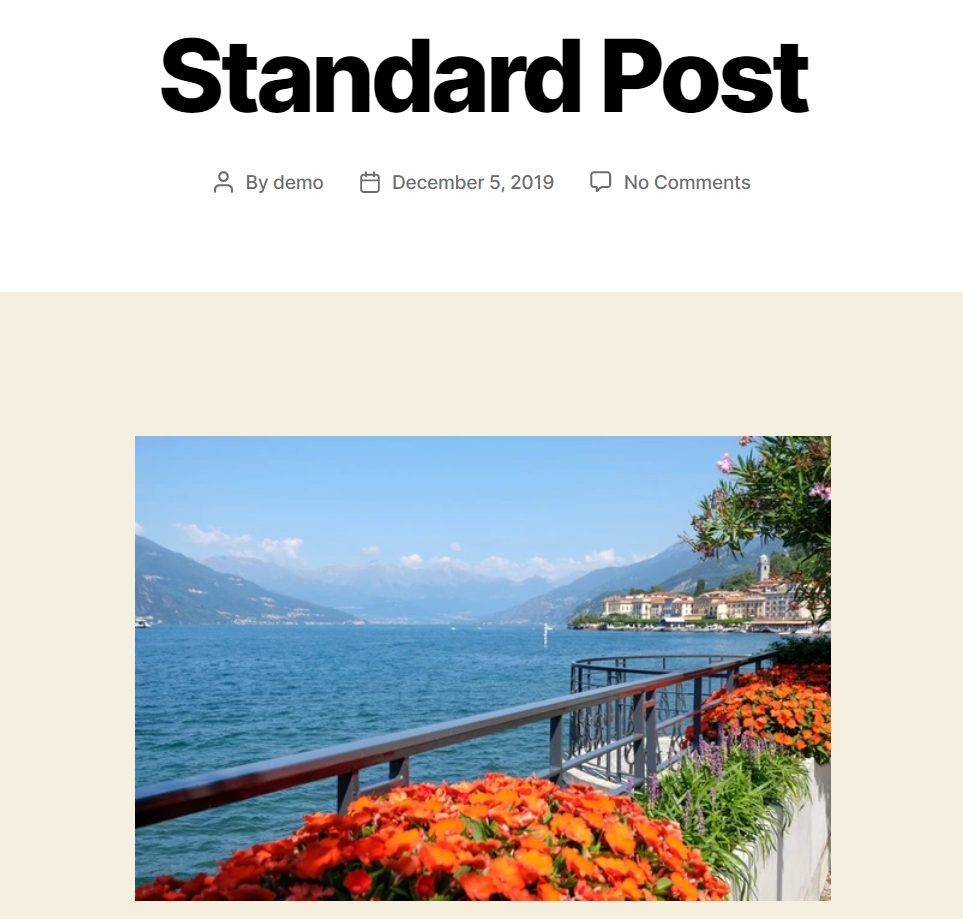 standard post image block