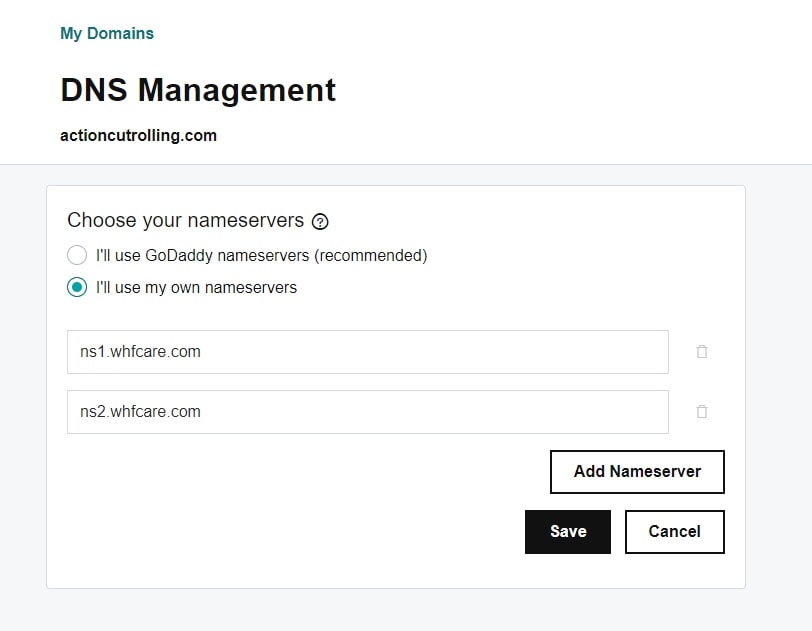 setting up dns management on Godaddy