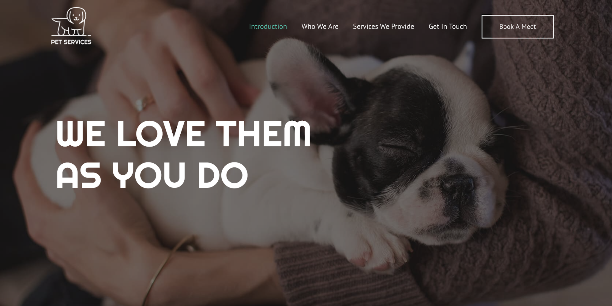 pet boarding astra starter site