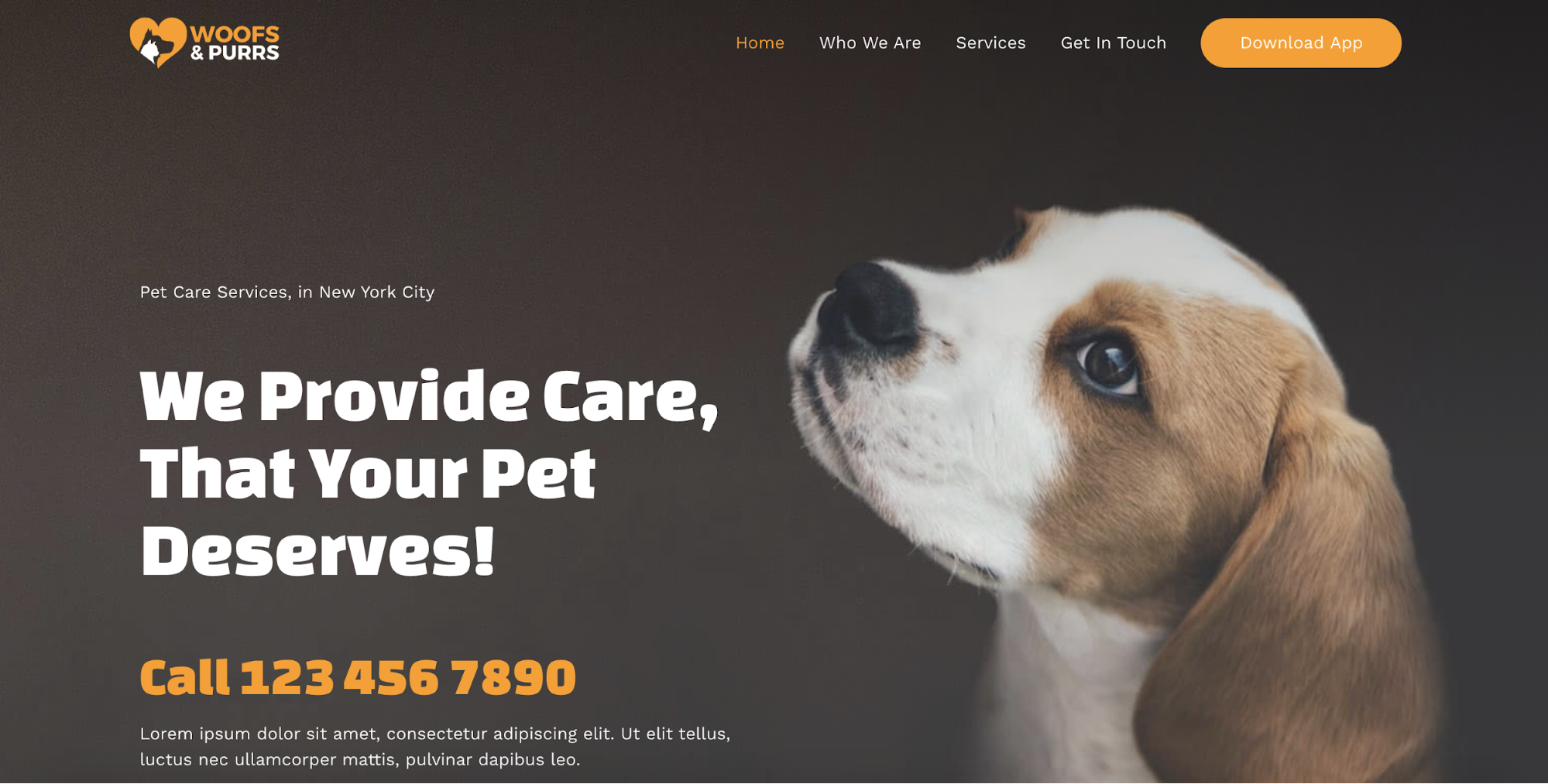 pet services starter templates