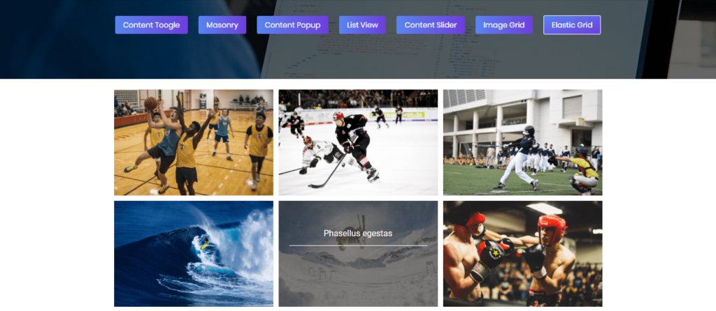 Best WordPress Portfolio Plugins of 2020 7 Portfolio Gallery plugin customization settings
